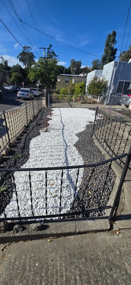 Expert lawn care service for beautiful yards across San Leandro, CA - Sunflowers Gardener