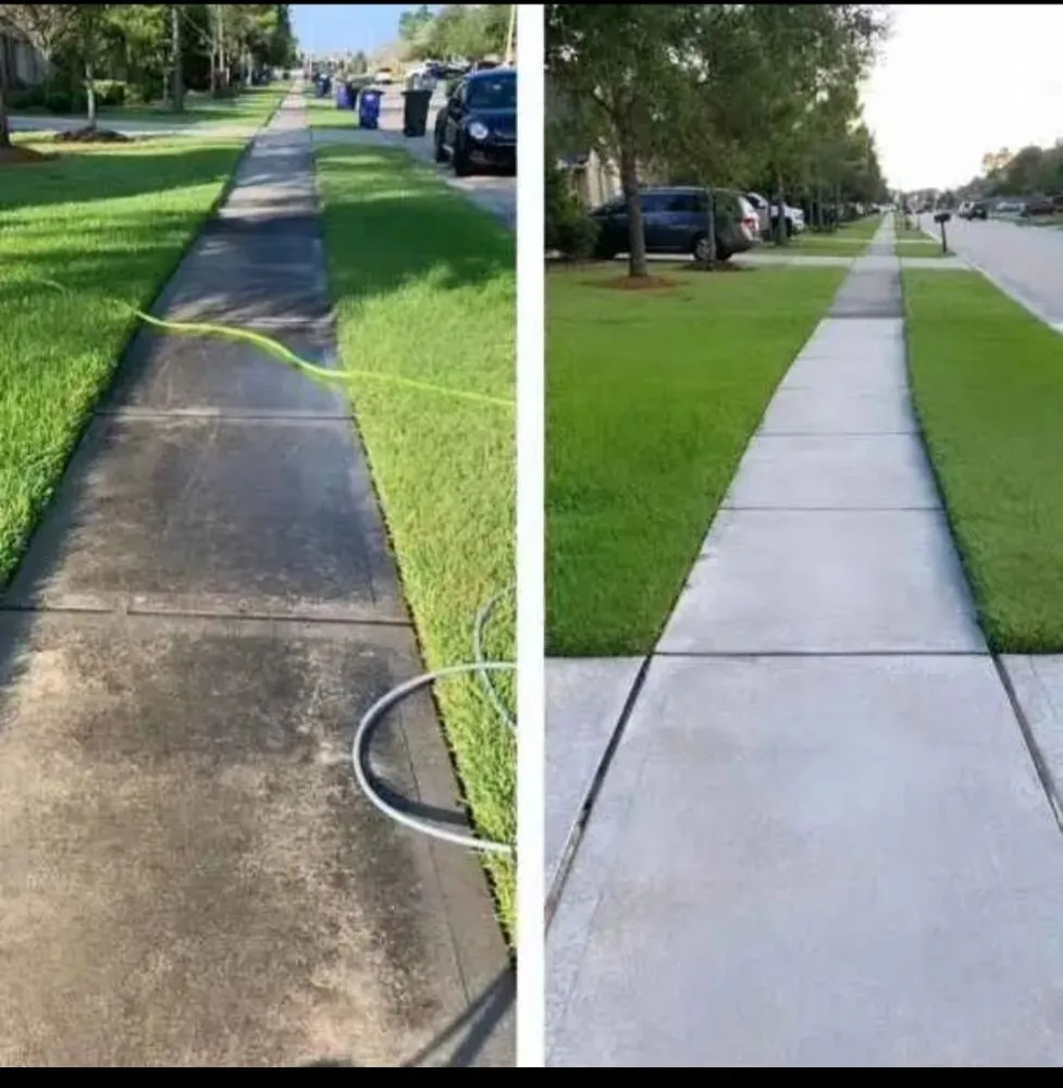 Expert yard maintenance experts serving San Leandro, CA - Sunflowers Gardener