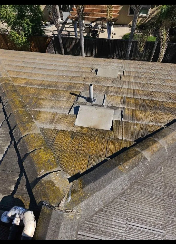 Affordable yard cleanup service experts serving San Leandro, CA - Sunflowers Gardener