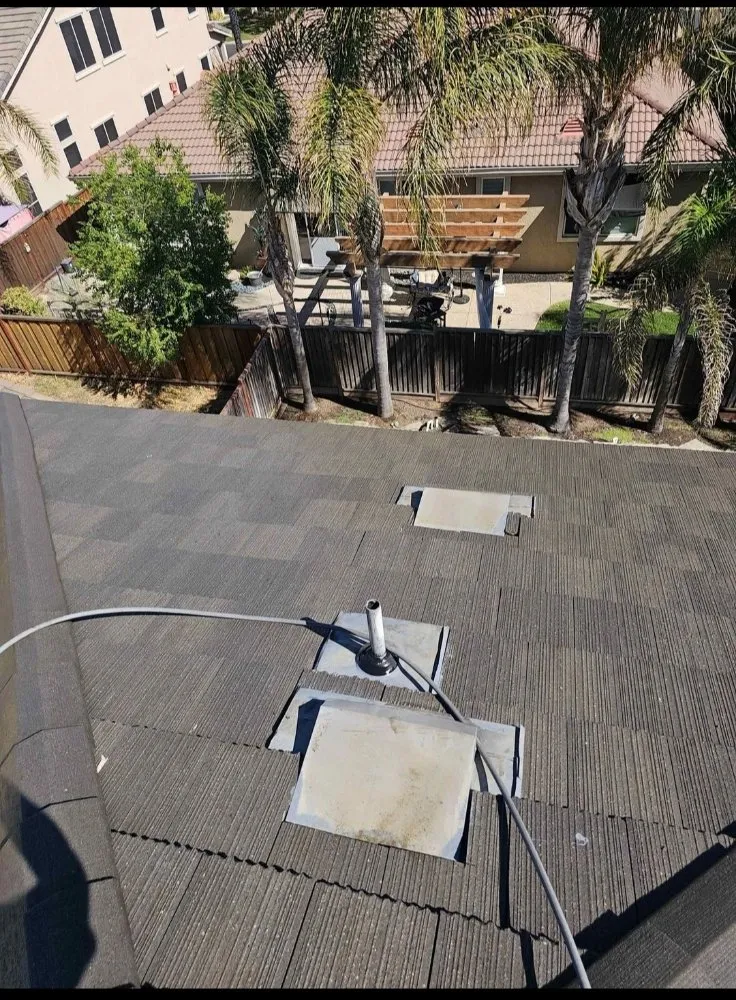 Local lawn care service experts serving San Leandro, CA - Sunflowers Gardener