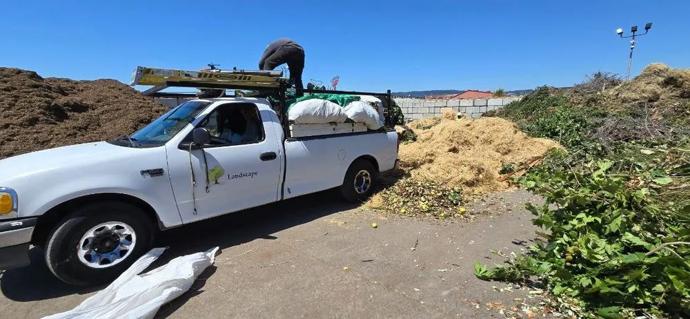 Affordable landscape design for year-round maintenance in San Leandro, CA by Sunflowers Gardener
