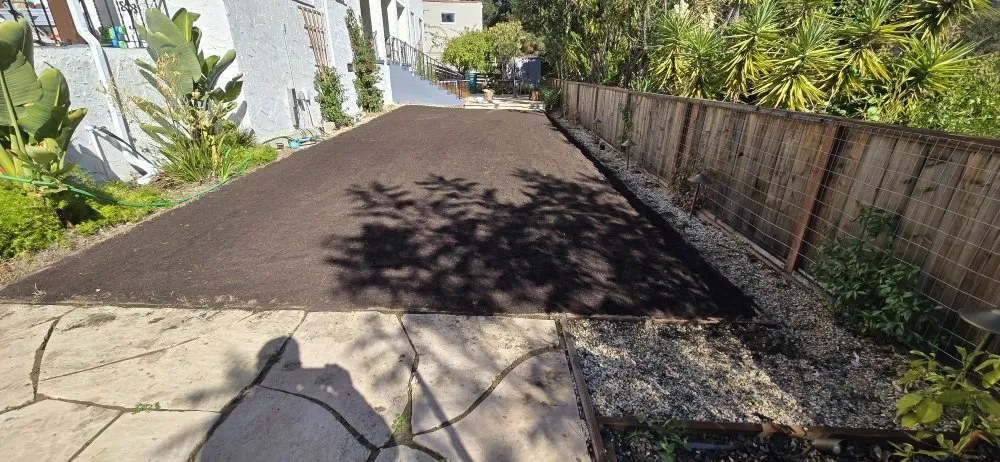 Custom lawn care service in San Leandro, CA by Sunflowers Gardener