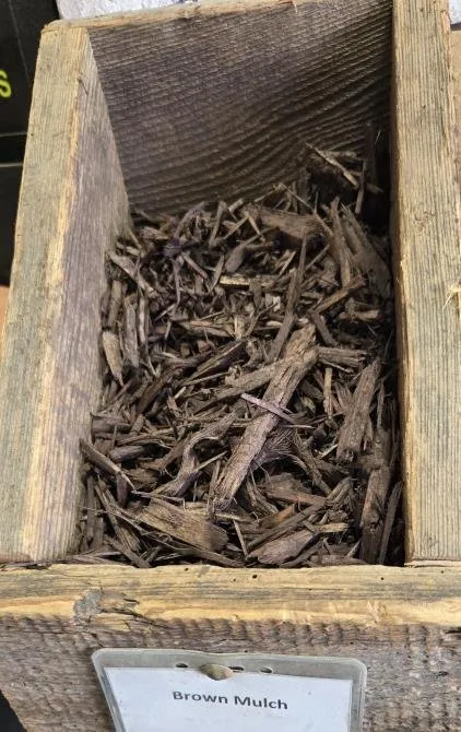 Custom garden landscaping in San Leandro, CA - Sunflowers Gardener