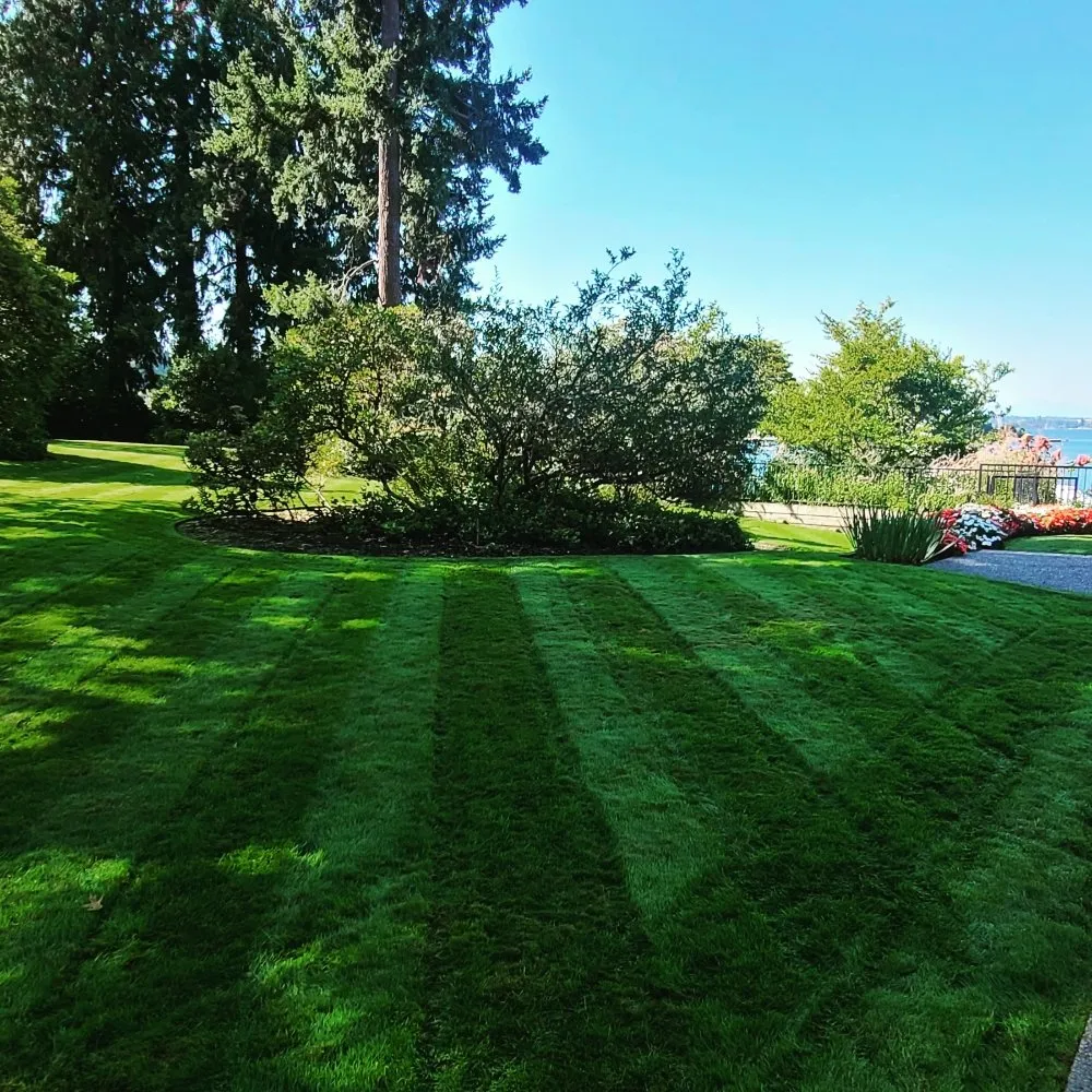 Expert landscape installation near you in Renton, WA by Sunglow Maple Landscaping Services