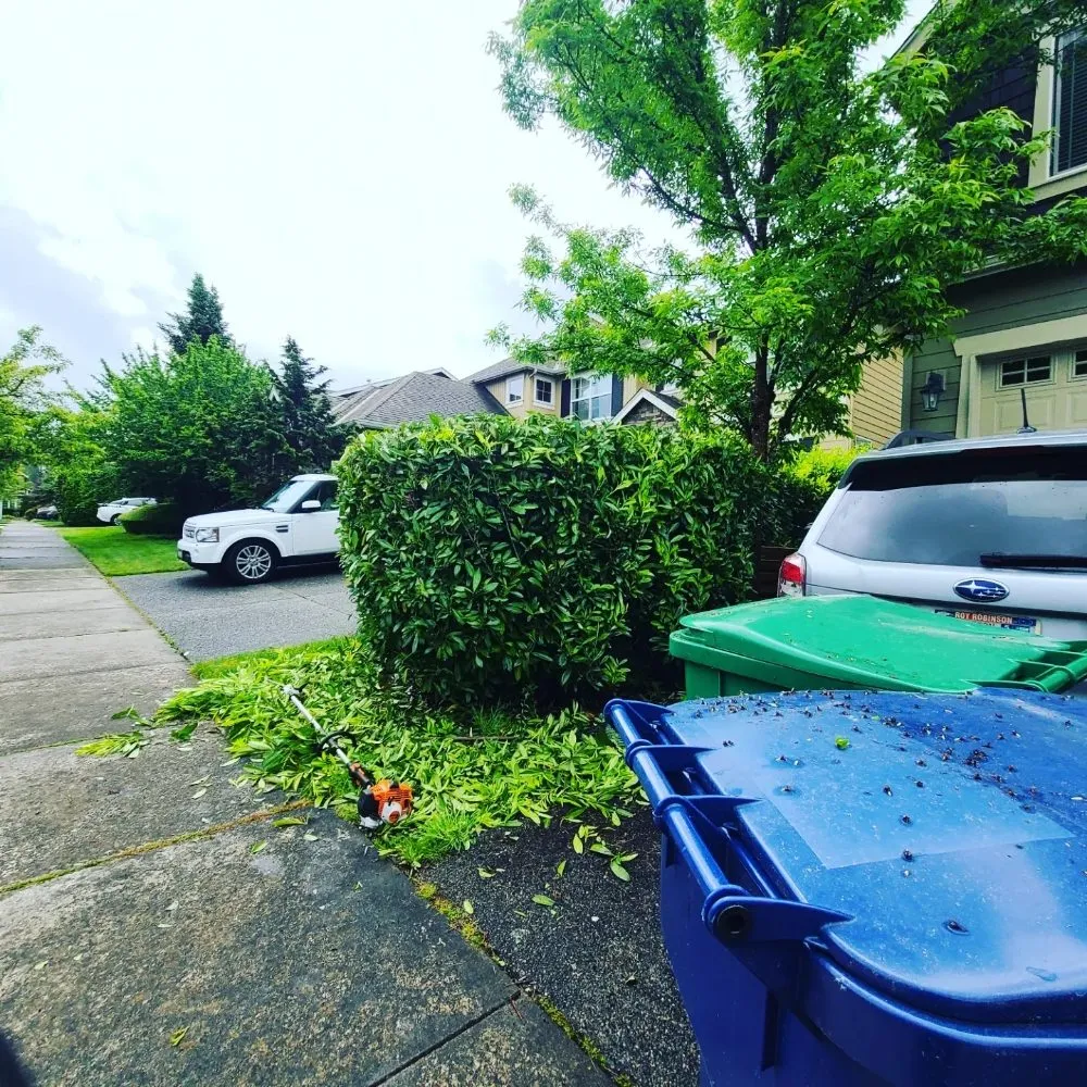 Reliable outdoor landscaping in Renton, WA by Sunglow Maple Landscaping Services