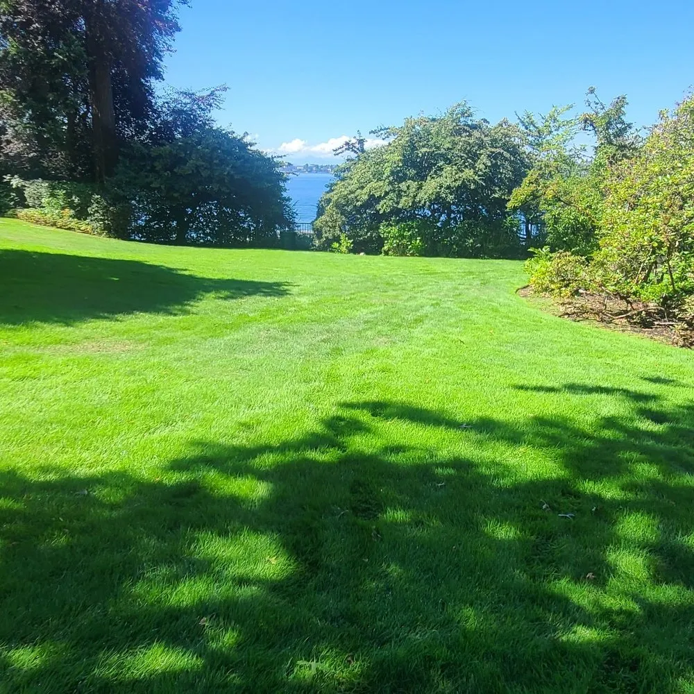 Professional residential landscaping in Renton, WA by Sunglow Maple Landscaping Services