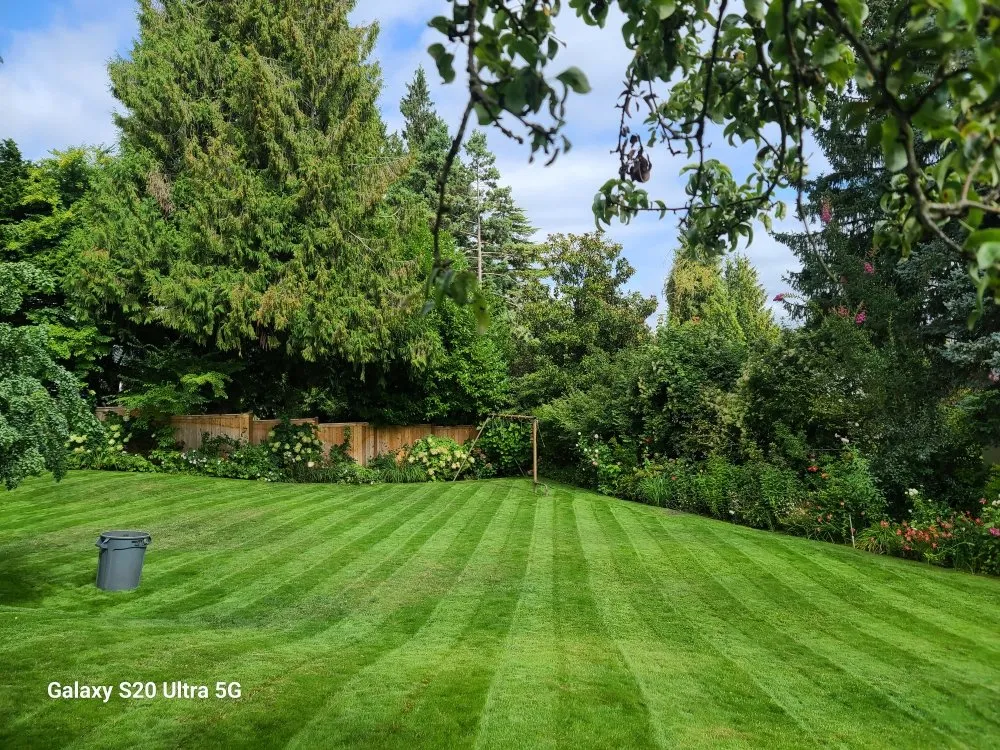 Custom lawn mowing service in Renton, WA by Sunglow Maple Landscaping Services