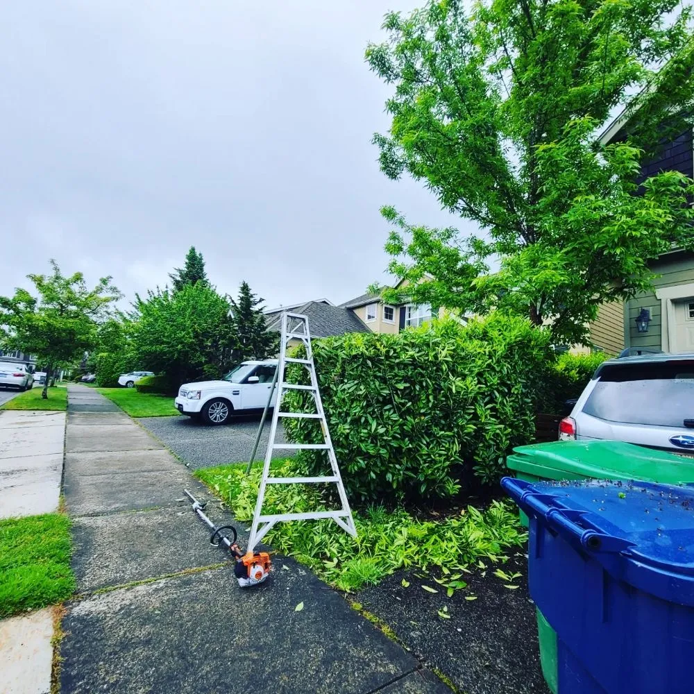 Reliable outdoor landscaping experts serving Renton, WA - Sunglow Maple Landscaping Services