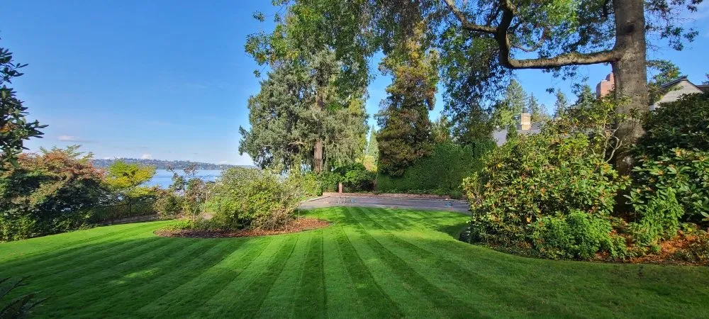 Local garden landscaping in Renton, WA - Sunglow Maple Landscaping Services