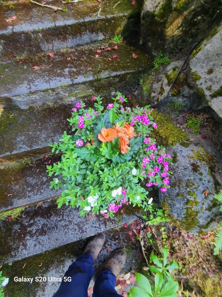 Custom landscaping services near you across Renton, WA - Sunglow Maple Landscaping Services