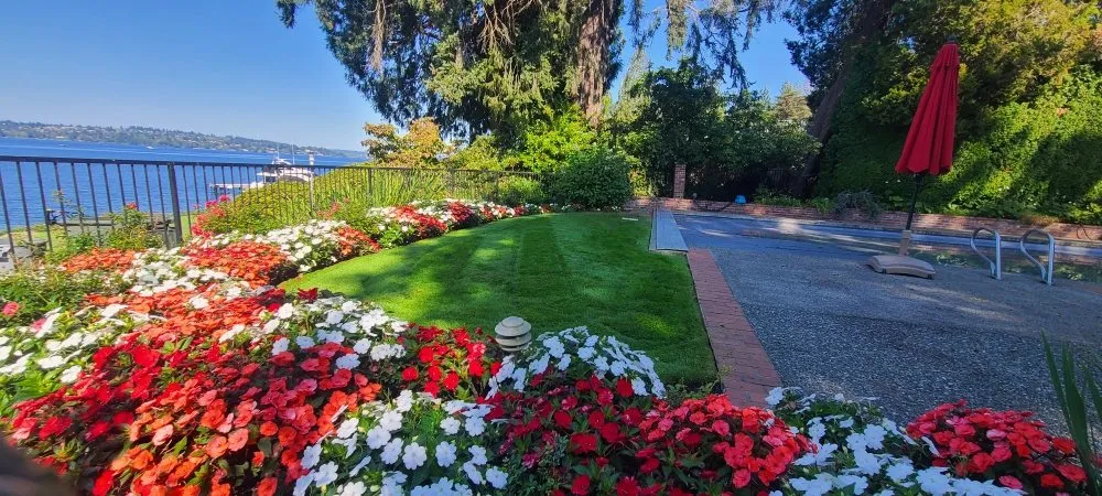 Trusted yard cleanup service in Renton, WA by Sunglow Maple Landscaping Services