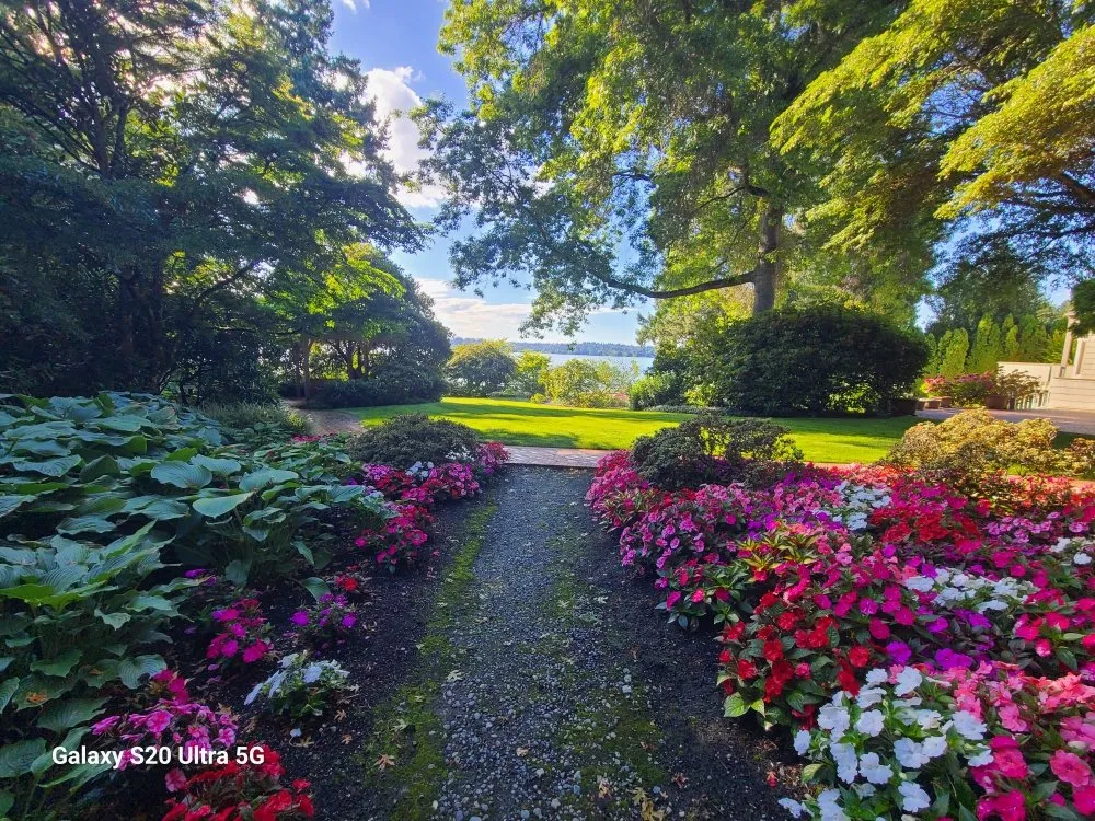 Reliable yard cleanup service for outdoor upgrades in Renton, WA by Sunglow Maple Landscaping Services