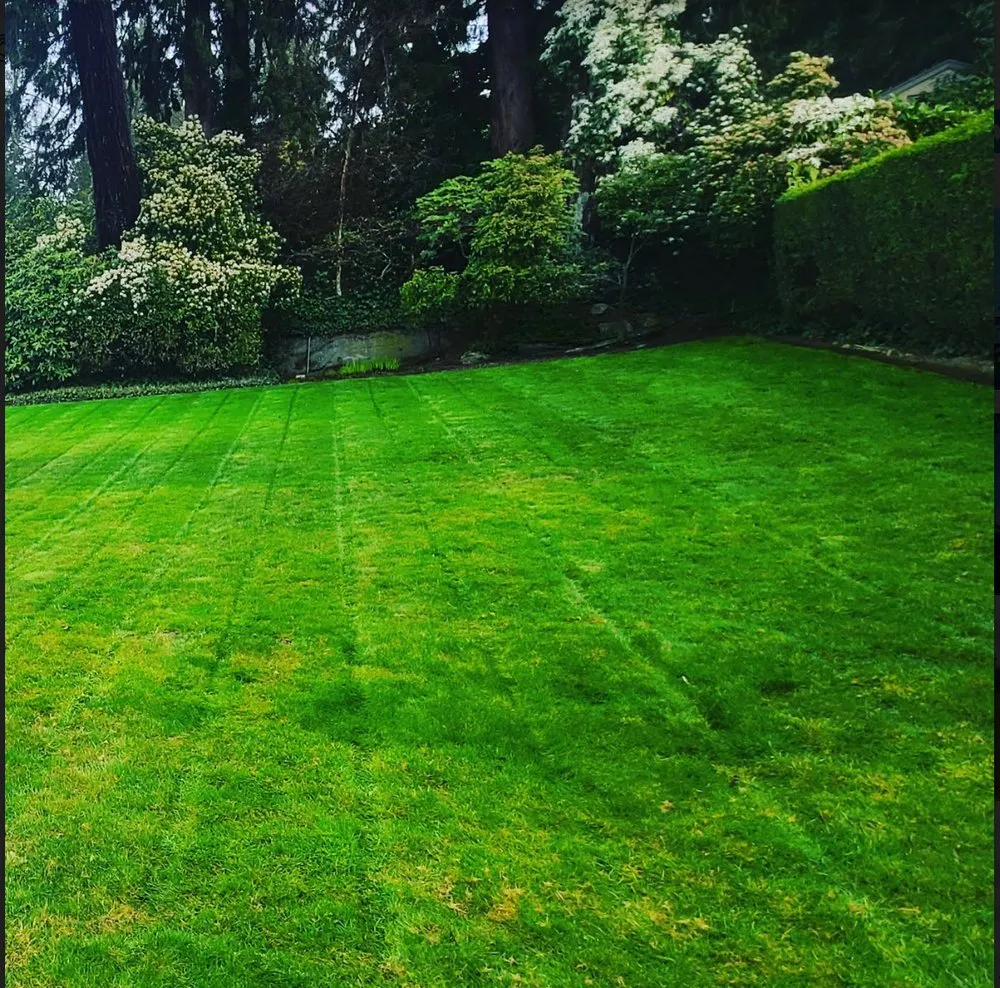 Affordable residential landscaping in Renton, WA by Sunglow Maple Landscaping Services