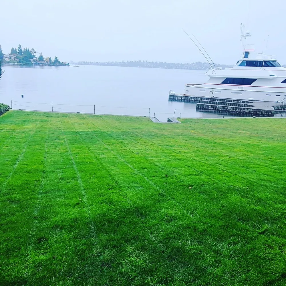 Expert landscaping services for homes across Renton, WA - Sunglow Maple Landscaping Services