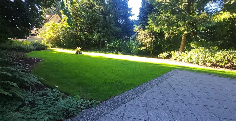 Professional landscape design experts serving Renton, WA - Sunglow Maple Landscaping Services