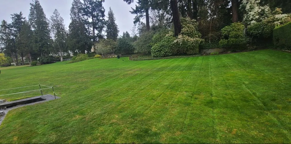Affordable landscaping services for residential properties across Renton, WA - Sunglow Maple Landscaping Services
