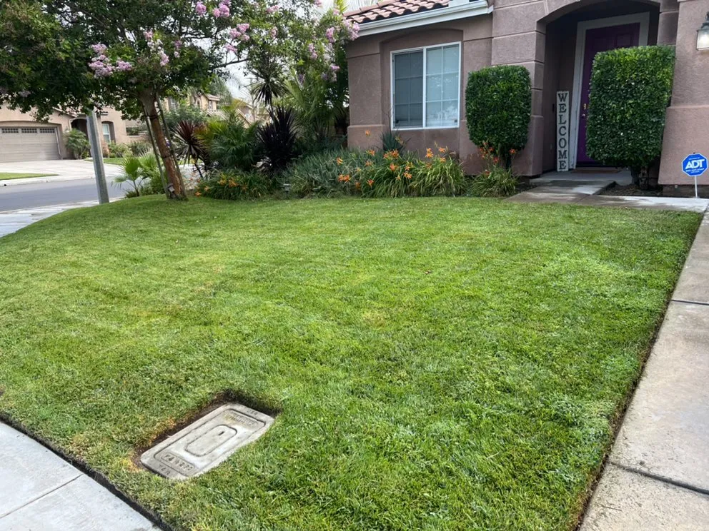 Custom yard cleanup service for homes across Riverside, CA - SunGreen Lawn Maintenance