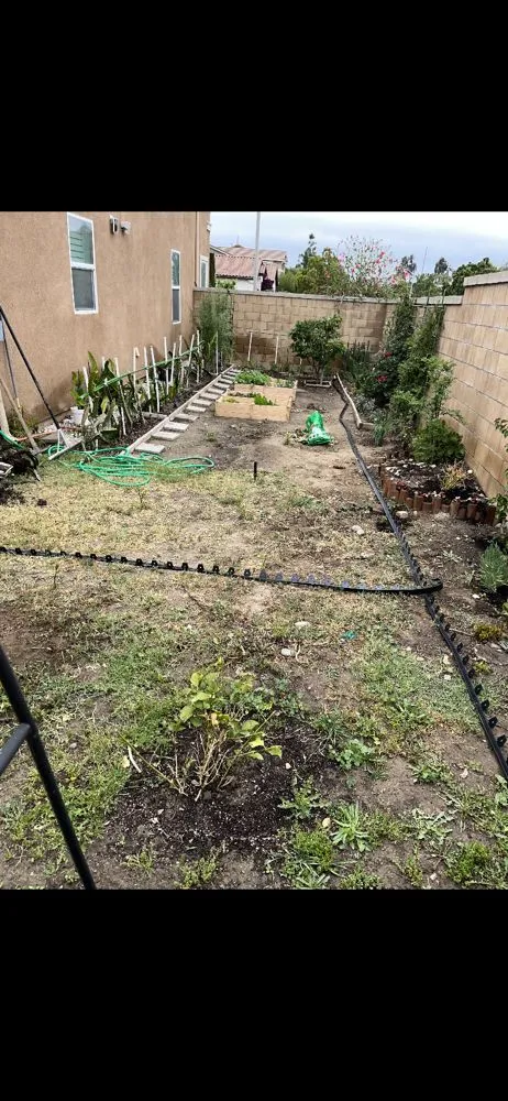 Reliable outdoor landscaping for year-round maintenance in Riverside, CA by SunGreen Lawn Maintenance