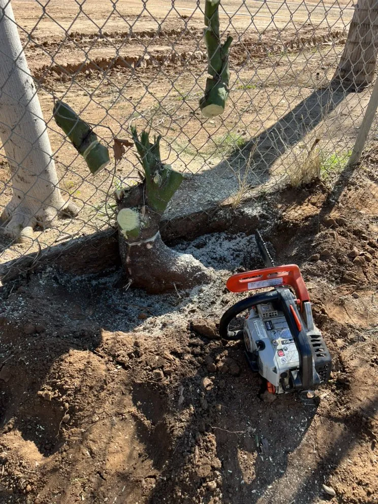 Professional residential landscaping in Riverside, CA by SunGreen Lawn Maintenance