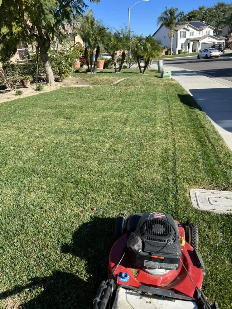 Local landscaping services in Riverside, CA by SunGreen Lawn Maintenance