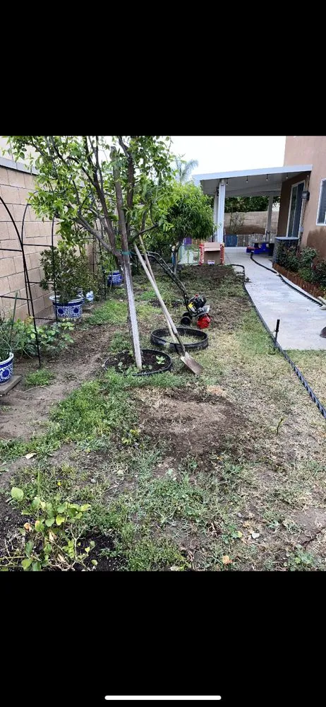 Trusted yard cleanup service near you in Riverside, CA by SunGreen Lawn Maintenance