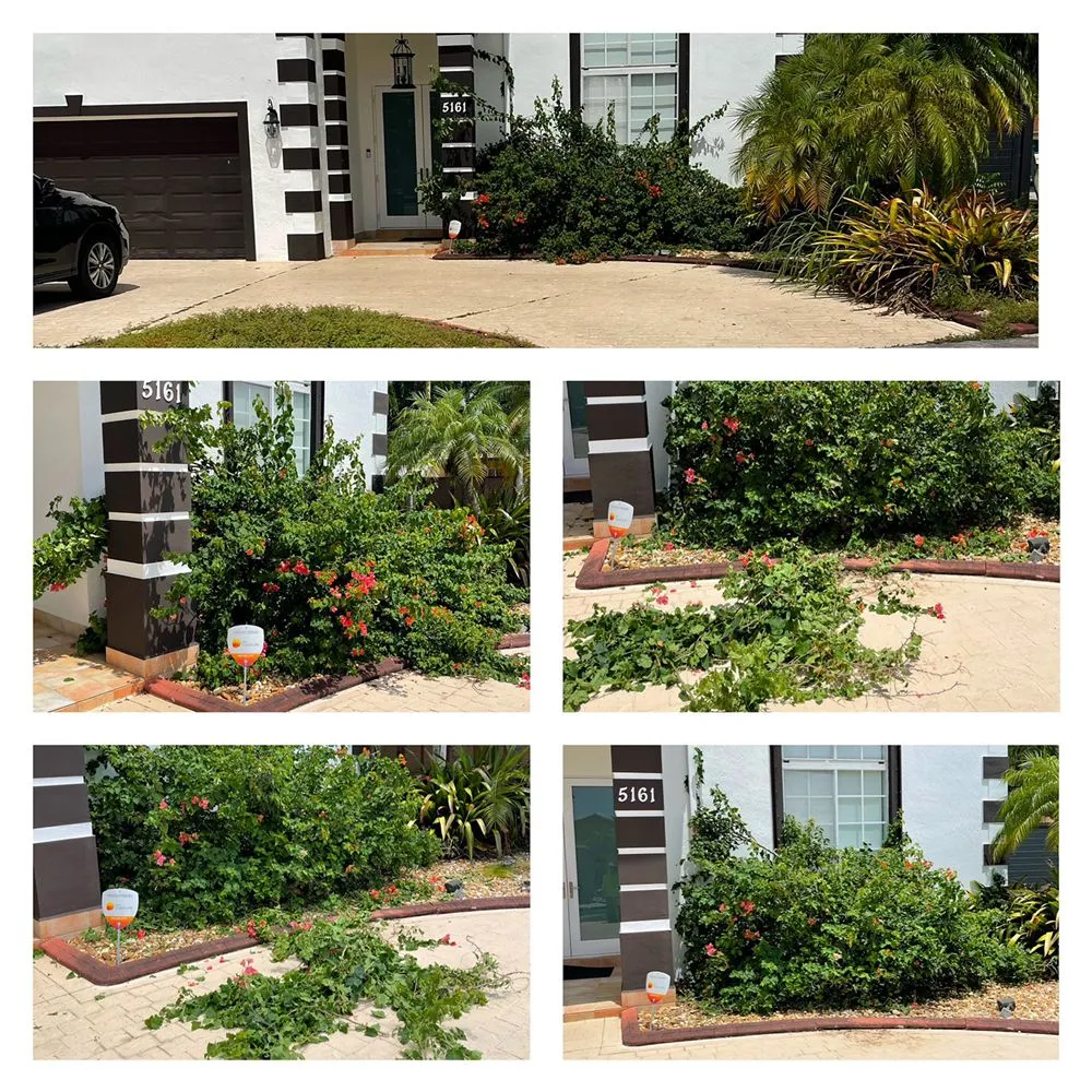 Custom lawn care service in Princeton, FL - Sunkissed Lawn Care Services