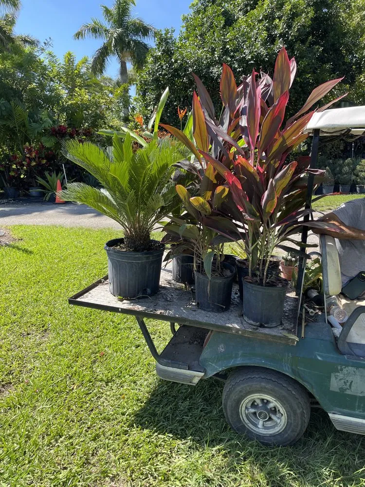 Custom lawn mowing service for residential properties in Princeton, FL by Sunkissed Lawn Care Services