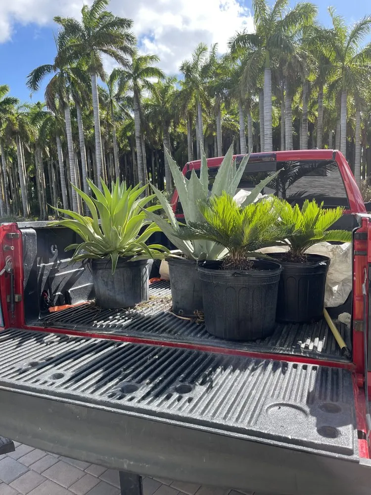 Professional yard maintenance in Princeton, FL by Sunkissed Lawn Care Services