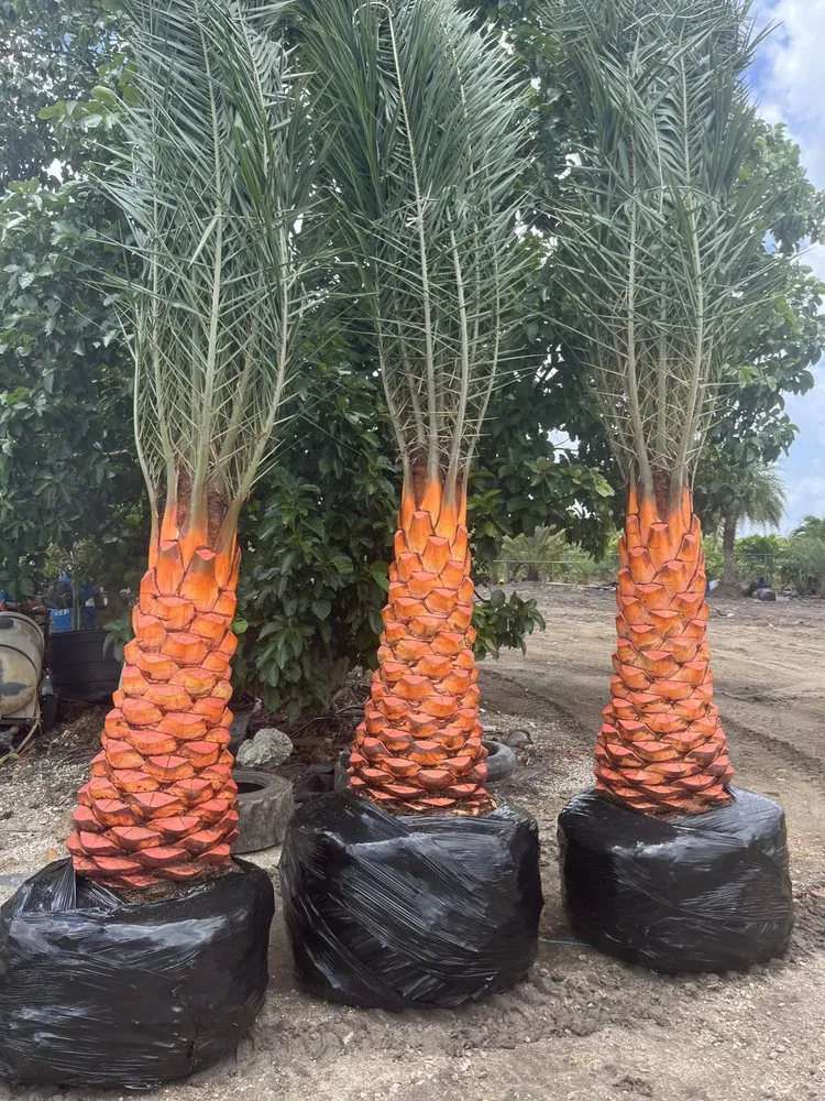 Trusted yard maintenance for residential properties in Princeton, FL by Sunkissed Lawn Care Services