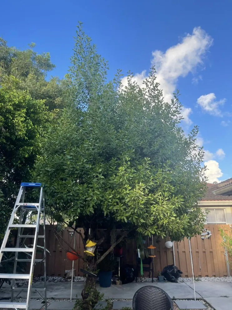 Top-rated yard maintenance in Princeton, FL by Sunkissed Lawn Care Services