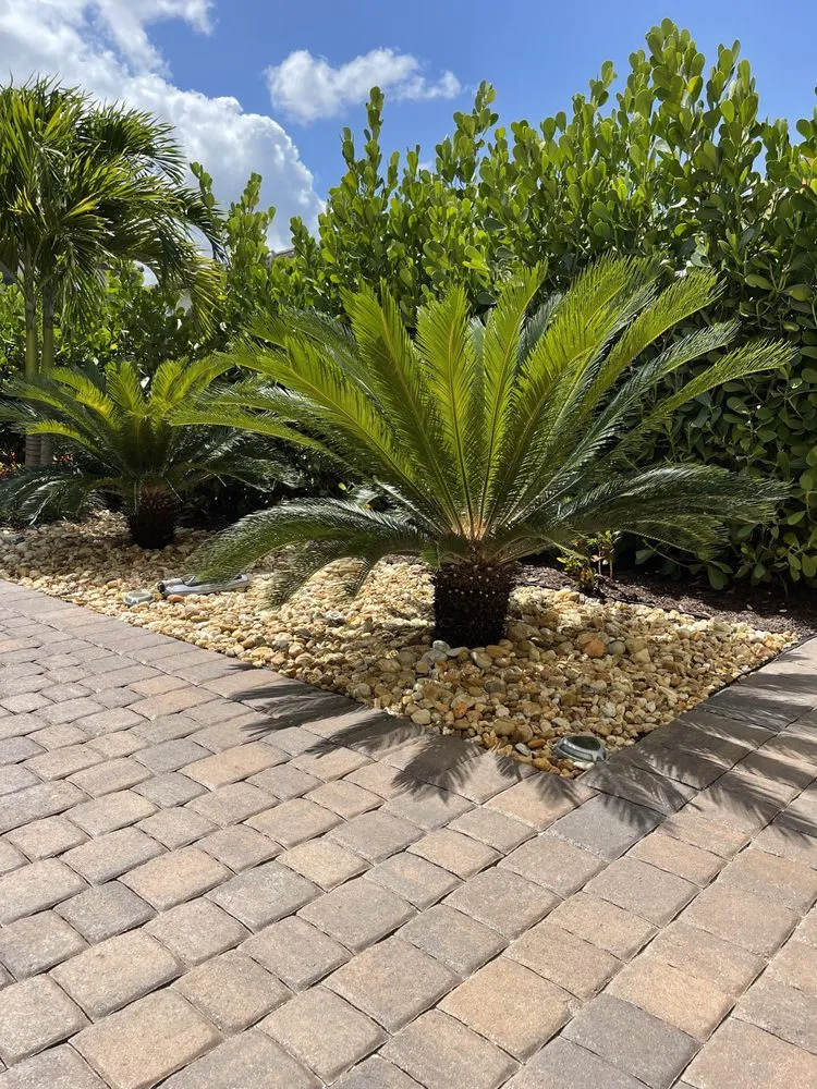 Expert lawn care service in Princeton, FL - Sunkissed Lawn Care Services