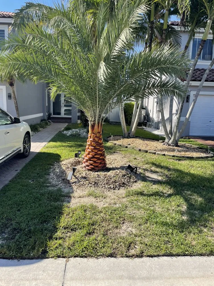 Local lawn mowing service experts serving Princeton, FL - Sunkissed Lawn Care Services