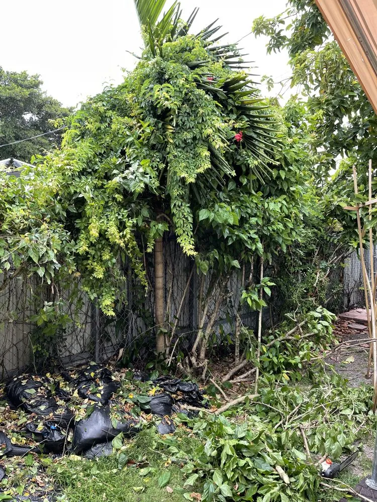 Reliable residential landscaping in Princeton, FL by Sunkissed Lawn Care Services