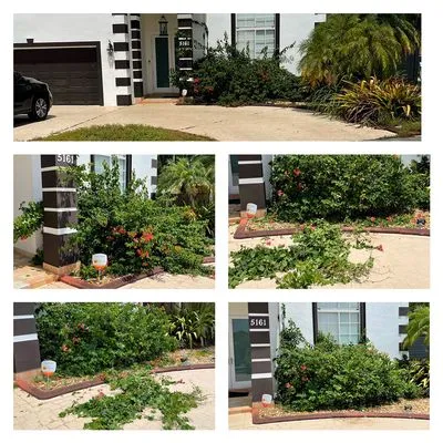 Sunkissed Lawn Care Services