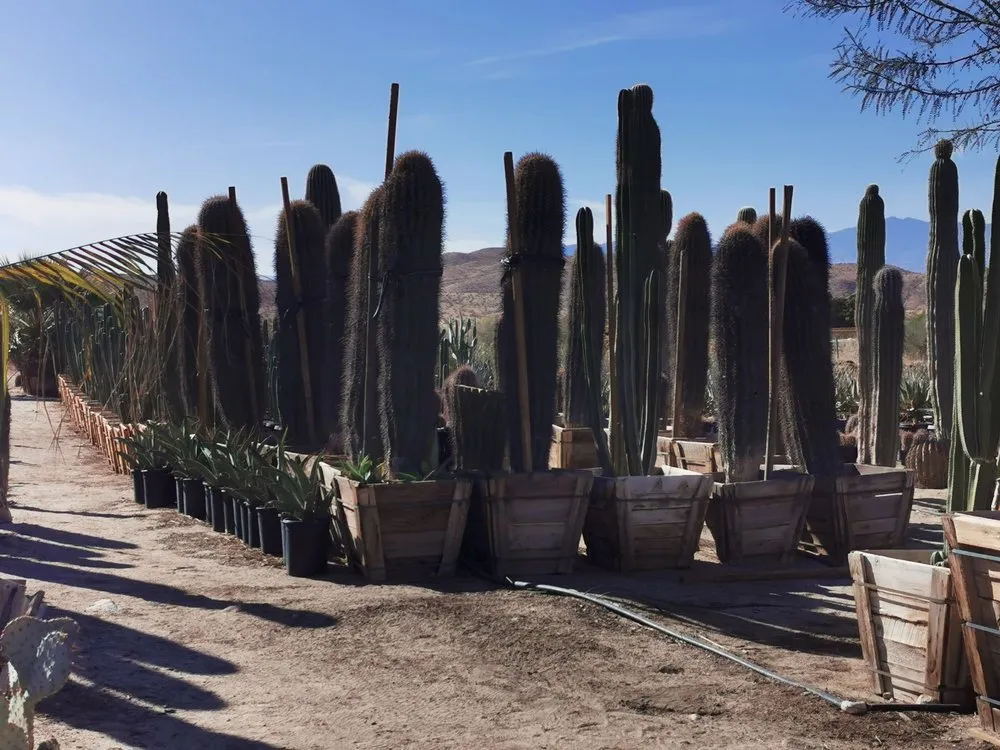 Top-rated garden landscaping in Desert Hot Springs, CA by Sunland Landscape & Irrigation