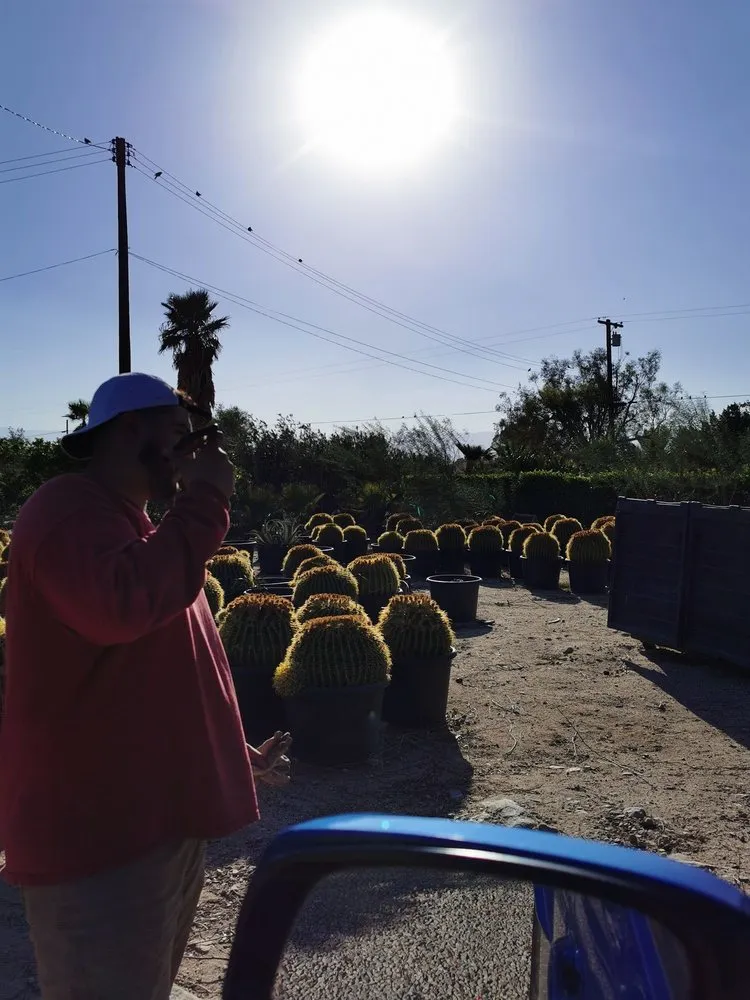 Trusted lawn care service for outdoor upgrades in Desert Hot Springs, CA by Sunland Landscape & Irrigation