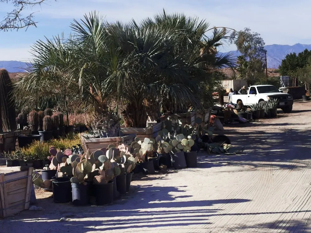 Affordable yard cleanup service experts serving Desert Hot Springs, CA - Sunland Landscape & Irrigation