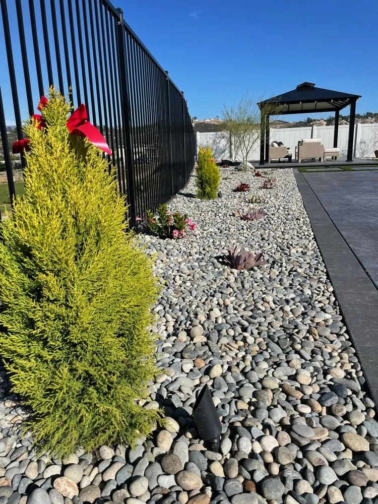 Reliable yard cleanup service experts serving San Diego, CA - Sunlight Landscaping