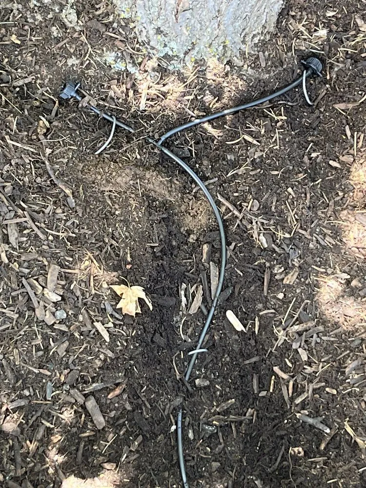 Affordable residential landscaping in Santa Fe, NM by Sunlight Landscaping