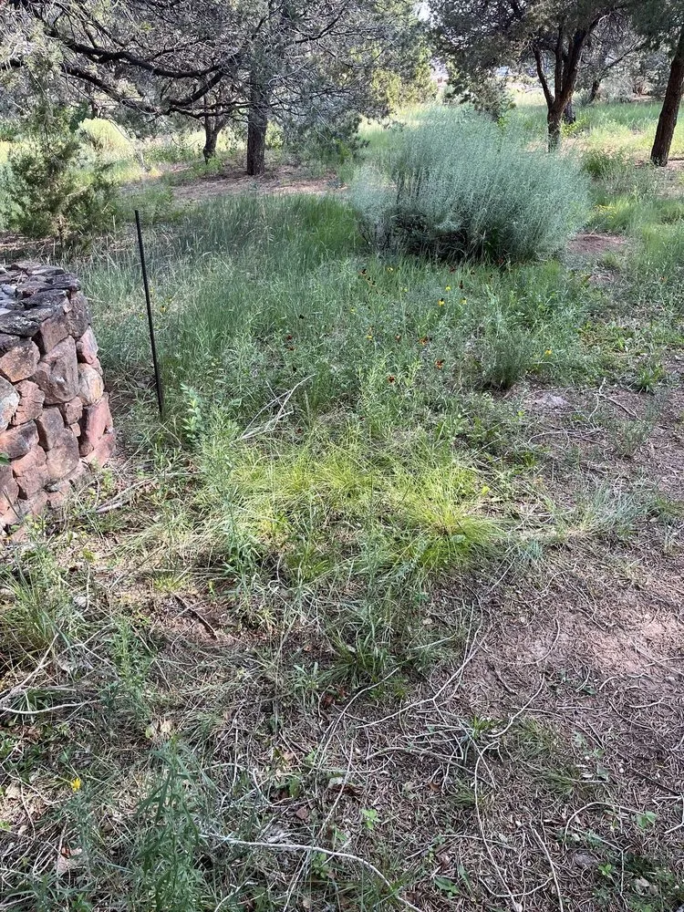 Top-rated landscape design in Santa Fe, NM - Sunlight Landscaping