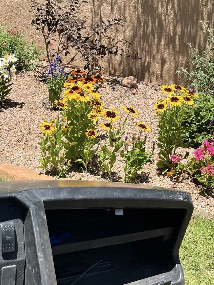 Affordable yard cleanup service experts serving Santa Fe, NM - Sunlight Landscaping