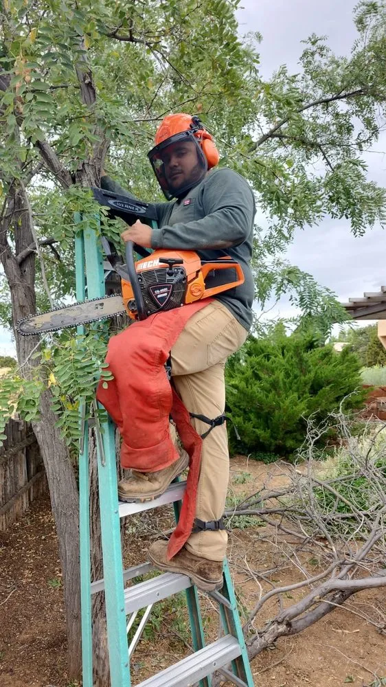 Local outdoor landscaping for homes across Santa Fe, NM - Sunlight Landscaping