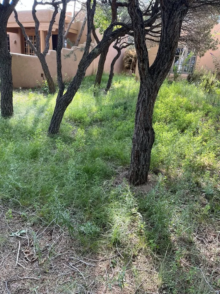 Custom lawn care service in Santa Fe, NM - Sunlight Landscaping