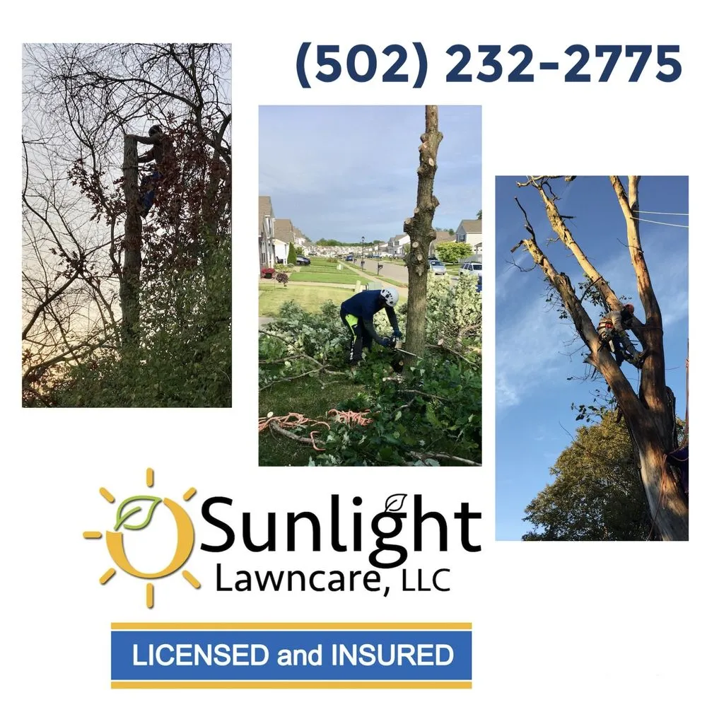 Top-rated yard maintenance in Taylorsville, KY - Sunlight Lawncare