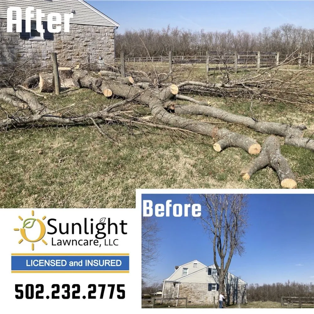 Expert residential landscaping experts serving Taylorsville, KY - Sunlight Lawncare