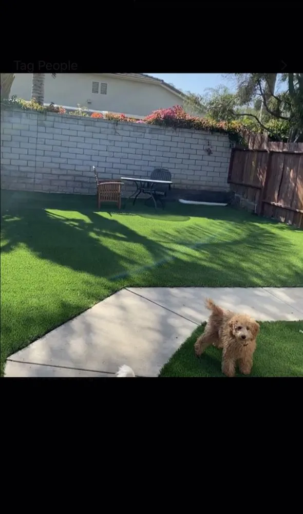 Top-rated garden landscaping in Camarillo, CA by Sunlight Tree Service & Landscaping