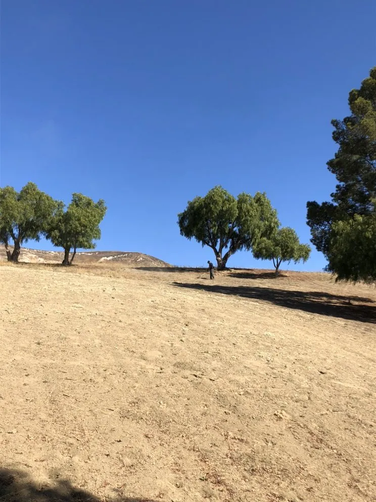 Top-rated lawn mowing service experts serving Camarillo, CA - Sunlight Tree Service & Landscaping