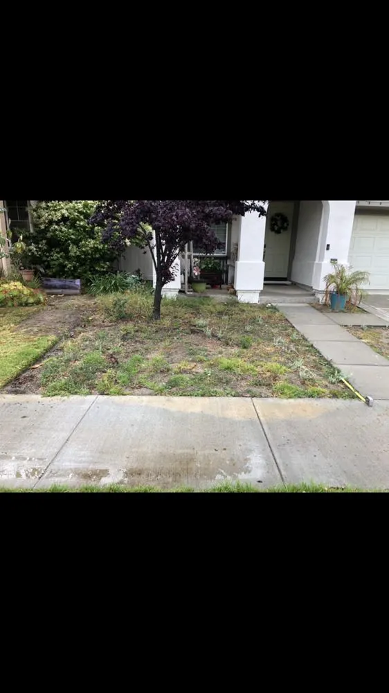 Custom lawn care service experts serving Camarillo, CA - Sunlight Tree Service & Landscaping