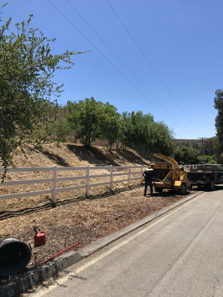 Professional yard cleanup service experts serving Camarillo, CA - Sunlight Tree Service & Landscaping