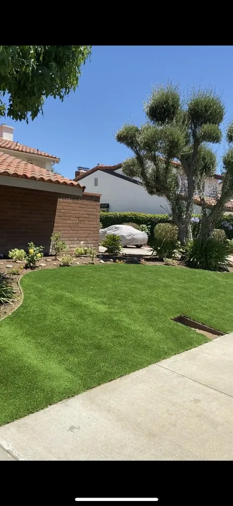 Local yard cleanup service in Camarillo, CA by Sunlight Tree Service & Landscaping